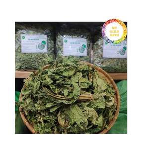 Feuilles de papaye pures récoltées directement à partir des fermes du Vietnam, feuilles de papaye séchées en vente à bas prix, vente en gros de feuilles de thé de papaye - Product Image 2