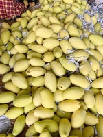 Kaew Verse Mango Goederen Voor Export Met Grote Hoeveelheden En Concurrerende Prijs Geschikt Voor Doorverkoop