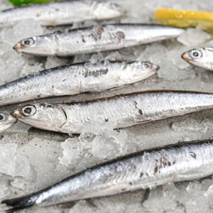 Vente en gros de poisson anchois frais congelé Filet d'anchois et de hareng séchés de haute qualité Fournisseur d'usine d'exportation en vrac - Product Image 3