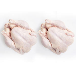 Pollo Entero Congelado HALAL de Alta Calidad, Pechuga de Pollo Congelada al por Mayor - Product Image 1