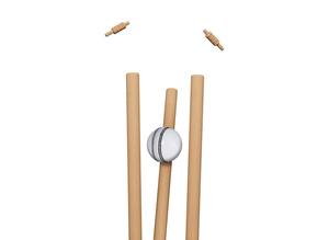 Ensemble de 3 souches de cricket en plastique de qualité supérieure pour personnes âgées - Product Image 4