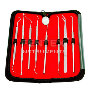Kit de higiene dental de acero inoxidable de 4 piezas Juego de cuidado bucal manual con instrumentos y herramientas quirúrgicas dentales esenciales - Product Image 5