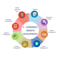 Servicios de Desarrollo de Plataformas de Comercio Electrónico 100% Personalizados, Diseño a Medida, Software Fácil de Usar, Activación Global por Internet