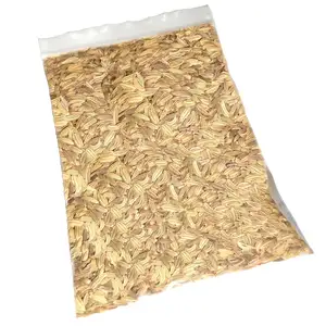 Popular Venta caliente precio barato especias individuales semillas de hinojo para salida de fábrica