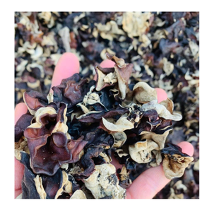 เครื่องอบแห้งแบบแห้งอัดเม็ดทำจากเชื้อราดำธรรมชาติ - Product Image 5