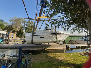 R-e-g-a-l A-m-b-a-s-s-a-d-o-r 233x-x-l - Product Image 3