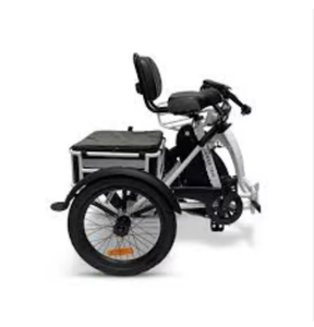 BUK Black Folding <b>Electric</b> <b>Tricycle</b> with 48V 700W Dual Motor, 42x22x33 Inches, Powered by Lithium Battery - Product Image 1