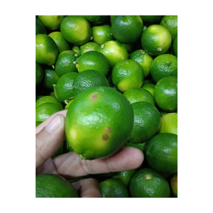 Vietnam Lime Export Qualité Mince Peel Haut Rendement De Jus Propre Et Naturel Emballé Par Demande Du Client Pour Le Marché International - Product Image 5