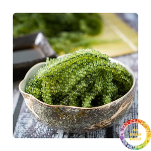 Opción de uva marina seca y fresca sin conservantes ricos en minerales | Mejor precio para exportación - Product Image 2