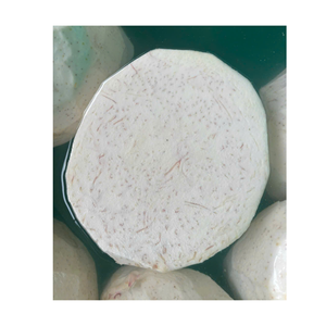 Raíces de Taro Congeladas de Primera Calidad para Aplicaciones Alimentarias - Product Image 4