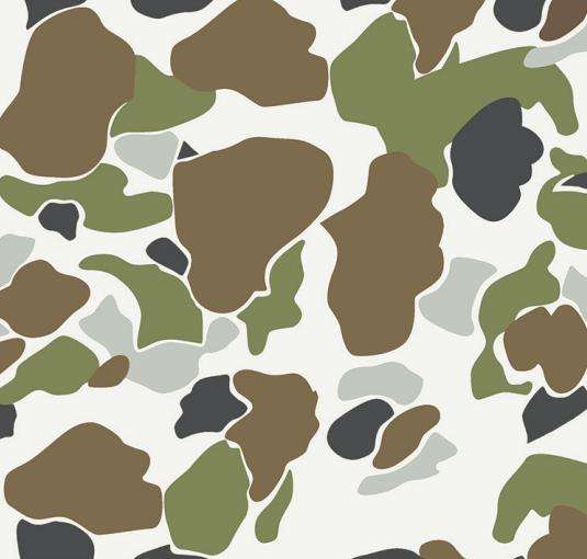 Camo 1