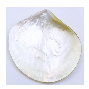 Plato de nácar vietnamita, venta al por mayor, plato de concha hecho a mano para servir caviar de comedor de lujo y exportación de hospitalidad - Product Image 2