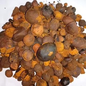 Factory price ox gallstones supplied in bulk quantity for retail and trade - Product Image 4