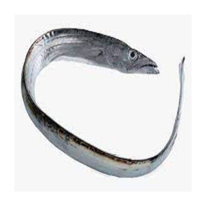 Pescado Fresco en Tiras, Marisco Fresco de Mar para Venta al por Mayor - Product Image 6