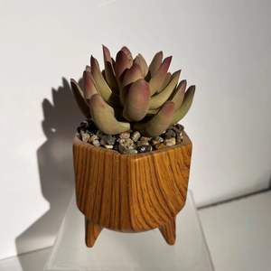 Jardinières en métal au design doré Idéal pour la décoration de sol Pot de fleur intérieur et extérieur - Product Image 3