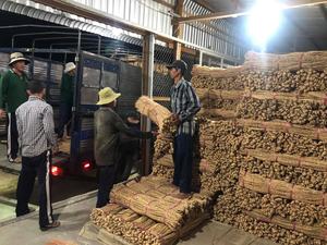 MATIÈRE PREMIÈRE DE CORDE DE HYACINTHE D'EAU SÉCHÉE EN GROS POUR PANIERS/SAC/PLACEMAT - Product Image 4