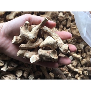 Hongo Shiitake Orgánico Vietnamita - 10/10 Puntos de Alta Calidad - Product Image 1