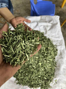 Feuilles de citronnelle crue séchées taille coupée pour le thé aux herbes de qualité alimentaire exportation en gros de l'usine du Vietnam - Product Image 5