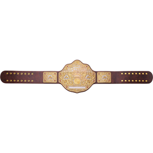 WWE Big Gold World Heavyweight Championship Ceinture de titre 100% en alliage de zinc WWE Legacy Title Ceinture de championnat personnalisée - Product Image 4