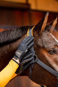 Gants d'équitation d'hiver de haute qualité avec logo personnalisé Gants en cuir antidérapants pour les sports de plein air et la vente en gros d'équitation - Product Image 6