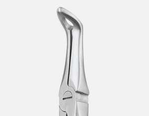 UL Amin High Quality No. 45 Manual Root Extraction Forceps <b>Dental</b> <b>Surgical</b> <b>Instruments</b> CE Certified - Product Image 3