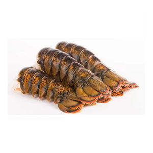 Homard entier canadien surgelé à bas prix, procédé UHP BQF, idéal pour les ventes en gros - Product Image 5