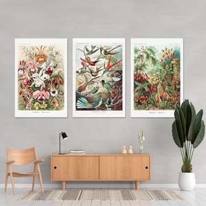 Ernst Haeckel's Art Forms of Nature <b>Poster</b> Set of 3 Paper Wall Decor - Product Image 3