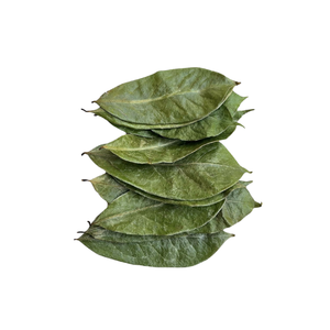 Feuille de Graviola séchée en vrac Graviola Corossol Feuilles Thé Agriculture Naturelle Importée du Vietnam - Product Image 1