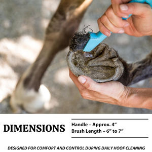 Pic à sabot Instruments vétérinaires orthopédiques Pic à sabot Équipement vétérinaire Pic à sabot avec poignée en métal Instruments vétérinaires - Product Image 3