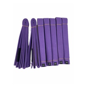 Nueva llegada adulto brasileño Jiu Jitsu Kimono cinturón multicolor Bjj artes marciales cinturón personalizado Karate cinturones - Product Image 2