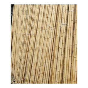 Postes de bambú verdes y amarillos naturales: palos fuertes ecológicos para muebles, decoración, jardinería, Exportación al por mayor a granel - Product Image 4