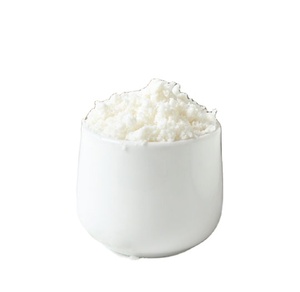 Fournisseur en gros Bonne saveur 100% Naturel faible en gras 25-35% Lait de coco séché en vrac en poudre - Product Image 1