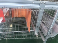 Système d'élevage avicole automatique en cage à batterie pour la production d'œufs et le nettoyage des fermes de poulets