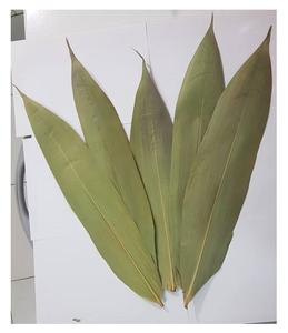 Feuille de bambou séchée entière naturelle verte séchée crue de qualité supérieure à partir de 99 données d'or Viet Nam - Product Image 1
