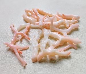 Palo Rosa japonés natural, cuentas de palo de coral blanco, palo pulido suave, piedra preciosa de coral suelta - Product Image 2