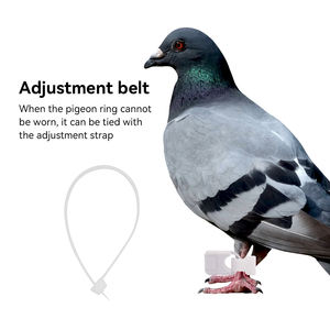 Anneau de suivi de <span class=keywords><strong>Pigeon</strong></span> en temps réel <span class=keywords><strong>Gps</strong></span> étanche <span class=keywords><strong>pour</strong></span> l'entraînement de <span class=keywords><strong>Pigeon</strong></span> de course - Product Image 2