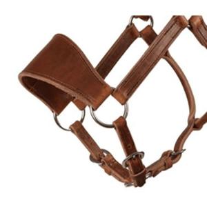 Licou en cuir de cheval confortable et durable en cuir équestre de haute qualité course de chevaux et licou d'entraînement - Product Image 3