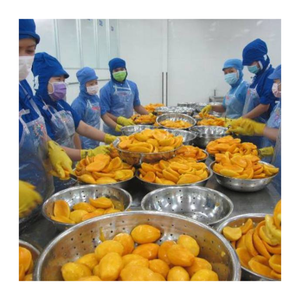 Rodajas y trozos de mango congelados de alta calidad de Vietnam: perfectos para fabricantes de jugos, batidos y postres de todo el mundo - Product Image 3