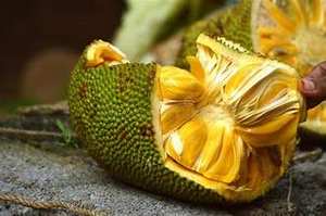 ÉTIQUETTE PROPRE FRUIT DE VESTE CONGELÉ QUALITÉ DE RIPE DORÉE AVEC ARÔME NATUREL SUPERALIMENT À BASE DE PLANTES POUR LE BIEN-ÊTRE QUOTIDIEN ET L'ÉNERGIE - Product Image 2