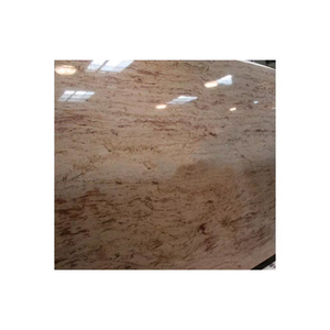 Compre losas de piedra de granito Shiva Gold con diferente elegancia y calidad duradera - Product Image 1