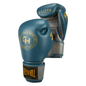 Guantes de Boxeo Personalizados Raider para Niños, Impresos, de Cuero, de 6oz a 12oz, para Taekwondo, Azul/Gris, con Logotipo Personalizable - Product Image 4