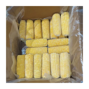 Maïs sucré à noyau congelé Offre Spéciale/Maïs congelé de haute qualité à partir de 100% Maïs sucré blanc/jaune frais naturel au prix le plus bas - Product Image 1