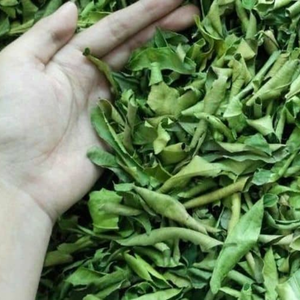 Suministro a granel hojas secas de lima Kaffir sabor fresco natural de Vietnam - Product Image 1