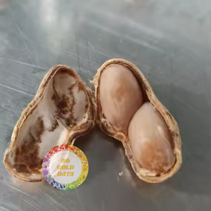 Sẵn sàng để Ăn Đậu phộng luộc đông lạnh iqf snack hoặc thành phần xuất khẩu Việt Nam giá bán buôn có sẵn-caryln 0084935825297 - Product Image 4