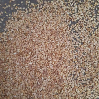 Graines de sésame égyptiennes de haute qualité en promotion, cultivées sous surveillance, marque El Ekhlas, durée de conservation de 24 mois, température ambiante