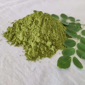 Frisches Kräuter-Moringa-Trocken blatt pulver natürliches Bio-Moringa-Blatt pulver, reich an Vitaminen und Mineralien als Kräuter ergänzung