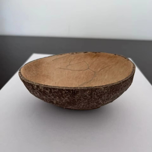 Cuenco de cáscara de coco ovalado semipulido japonés de 100ml, plato de servicio Biodegradable hecho a mano Natural para cocina resistente al calor - Product Image 1