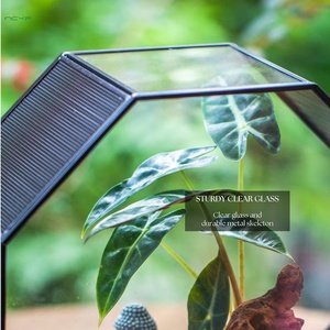 Terrario in Vetro Geometrico Ottagonale Grande Fatto a Mano per Insetti e Animali con Rete di Ventilazione (Solo Terrario) - Product Image 3