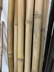 Venta al por mayor de palos de bambú baratos de Vietnam Bao Tram Anh proveedor de productos agrícolas - Product Image 4