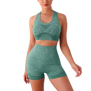 Ensemble de yoga fitness sans couture pour femmes, style streetwear d'automne, doux, confortable, soutien-gorge de sport, leggings respirants, usage quotidien - Product Image 3